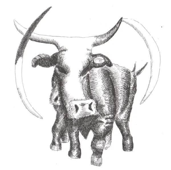 Bull Mutated