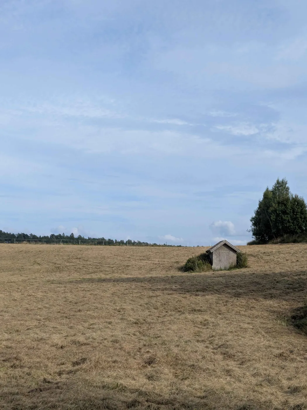 Liminal image