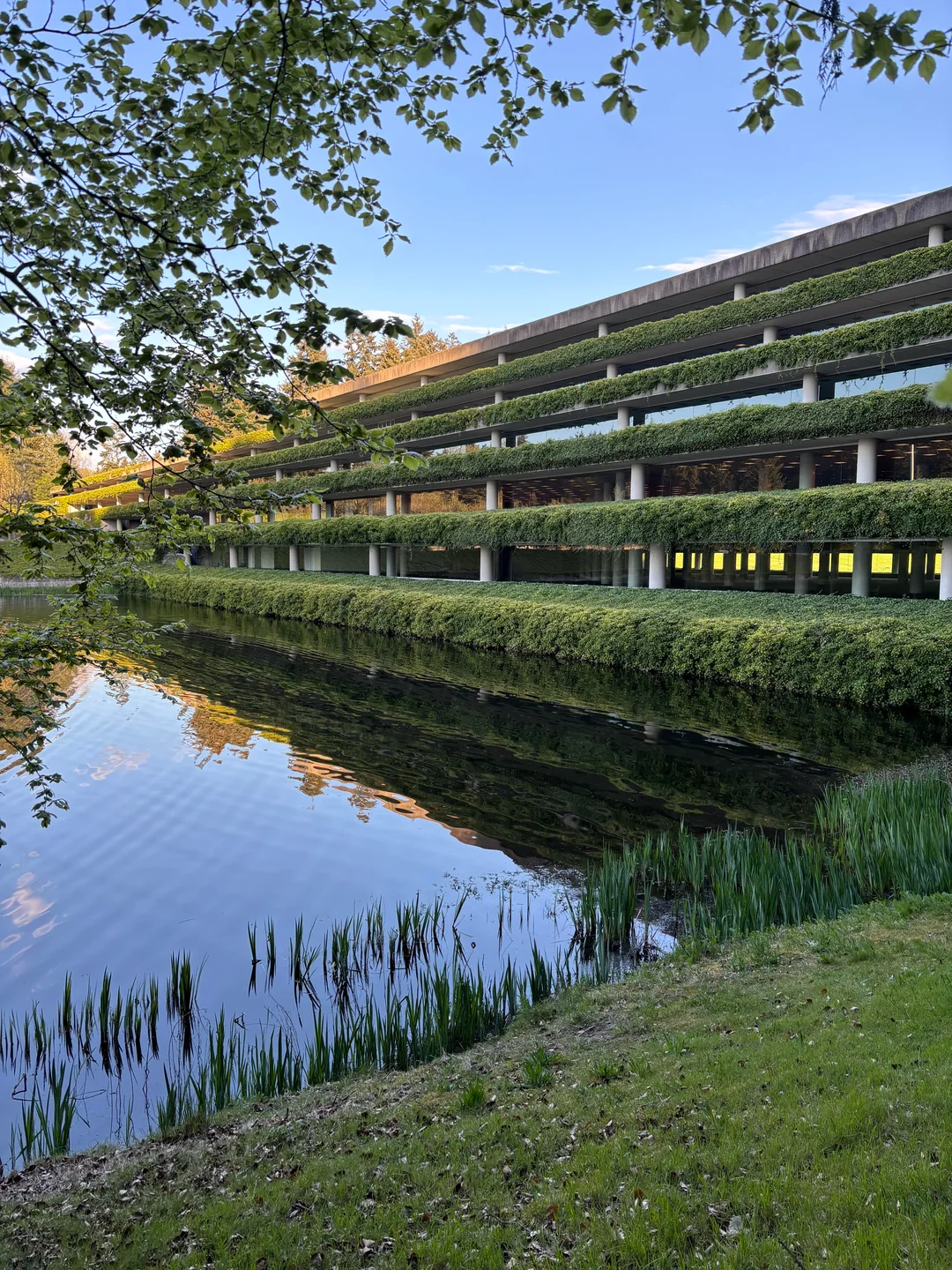 Abandoned corporate park