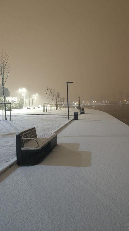 Snowy scene